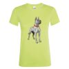 SOL'S Ladies Regent T-Shirt Thumbnail